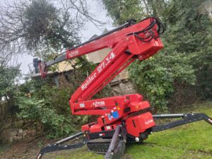 Chantier d’élagage et pose de tirant sur Lormont